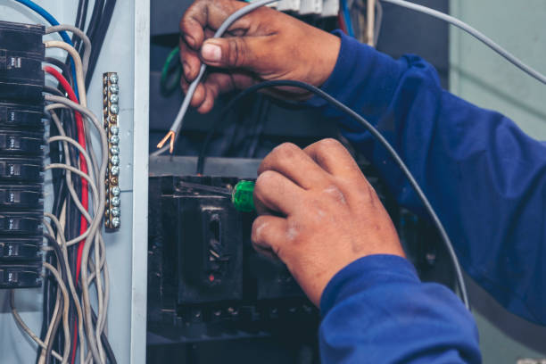 Best Generator Installation Services  in Burr Ridge, IL